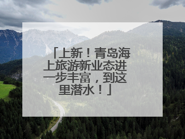 上新！青岛海上旅游新业态进一步丰富，到这里潜水！