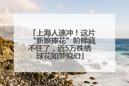上海人速冲！这片“新娘捧花”阶梯藏不住了，近5万株绣球花如梦似幻