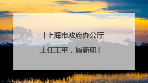 上海市政府办公厅主任王平，履新职