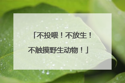不投喂！不放生！不触摸野生动物！