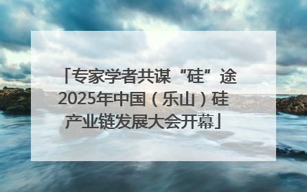 专家学者共谋“硅”途 2025年中国（乐山）硅产业链发展大会开幕