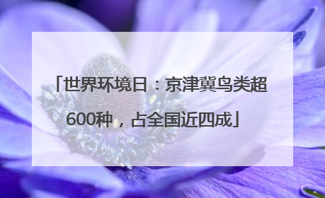 世界环境日：京津冀鸟类超600种，占全国近四成