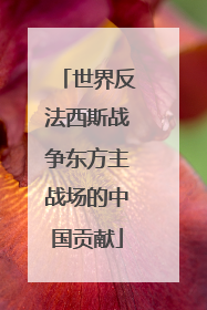 世界反法西斯战争东方主战场的中国贡献