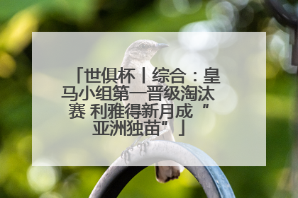 世俱杯丨综合：皇马小组第一晋级淘汰赛 利雅得新月成“亚洲独苗”