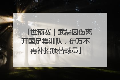 世预赛｜武磊因伤离开国足集训队，伊万不再补招顶替球员