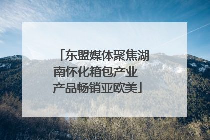 东盟媒体聚焦湖南怀化箱包产业 产品畅销亚欧美