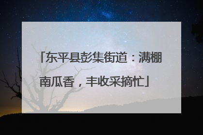 东平县彭集街道：满棚南瓜香，丰收采摘忙