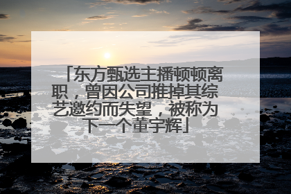 东方甄选主播顿顿离职，曾因公司推掉其综艺邀约而失望，被称为下一个董宇辉