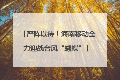 严阵以待！海南移动全力迎战台风“蝴蝶”