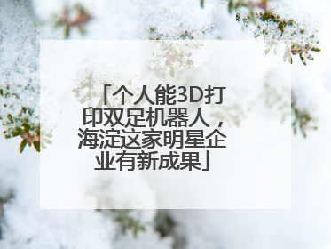 个人能3D打印双足机器人，海淀这家明星企业有新成果