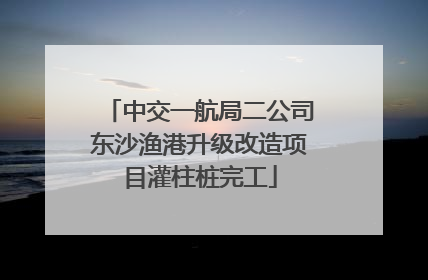 中交一航局二公司东沙渔港升级改造项目灌柱桩完工