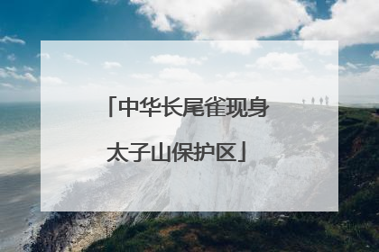 中华长尾雀现身太子山保护区