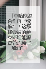 中哈能源合作再“续航”！这场峰会被哈萨克斯坦能源高管点赞“加油”