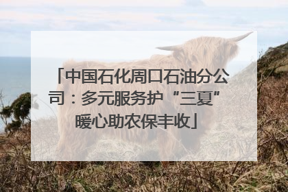 中国石化周口石油分公司：多元服务护“三夏” 暖心助农保丰收