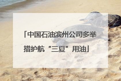 中国石油滨州公司多举措护航“三夏”用油