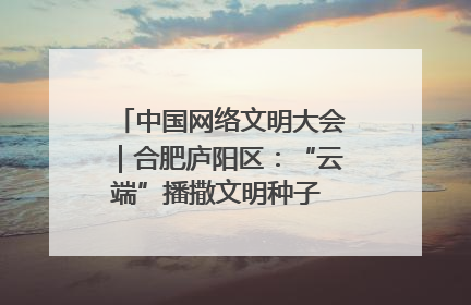 中国网络文明大会｜合肥庐阳区：“云端”播撒文明种子 共建清朗网络空间
