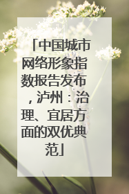 中国城市网络形象指数报告发布，泸州：治理、宜居方面的双优典范