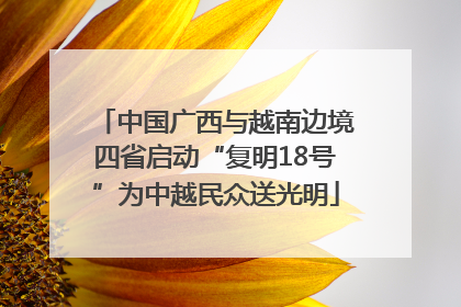 中国广西与越南边境四省启动“复明18号”为中越民众送光明