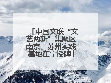 中国文联“文艺两新”集聚区南京、苏州实践基地在宁授牌