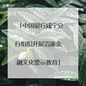 中国银行咸宁分行组织开展清廉金融文化警示教育
