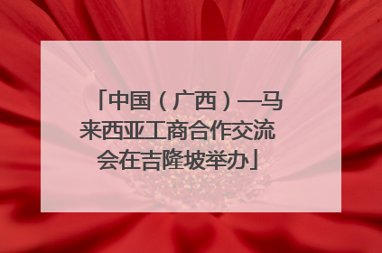 中国（广西）—马来西亚工商合作交流会在吉隆坡举办