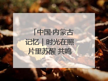 中国·内蒙古记忆｜时光在照片里苏醒 共鸣从静默中漫来