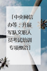 中央网信办等：开展军队文职人员考试培训专项整治