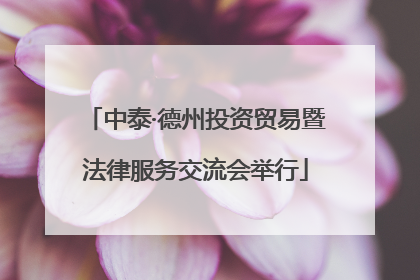 中泰·德州投资贸易暨法律服务交流会举行