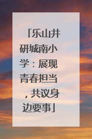 乐山井研城南小学：展现青春担当，共议身边要事