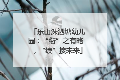 乐山洙泗塘幼儿园：“衔”之有略，“续”接未来