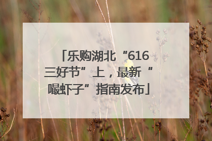 乐购湖北“616三好节”上，最新“嘬虾子”指南发布
