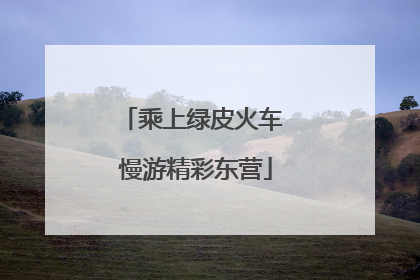 乘上绿皮火车 慢游精彩东营