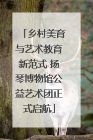 乡村美育与艺术教育新范式 扬琴博物馆公益艺术团正式启航