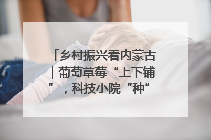 乡村振兴看内蒙古｜葡萄草莓“上下铺”，科技小院“种”出三倍效益
