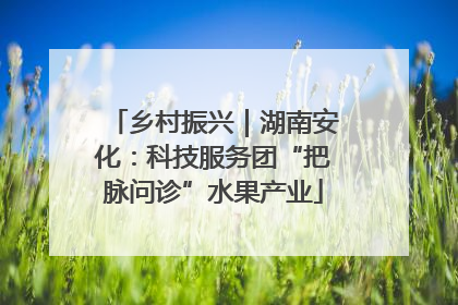 乡村振兴｜湖南安化：科技服务团“把脉问诊”水果产业