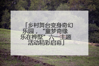 乡村舞台变身奇幻乐园，“童梦奇缘 乐在桦墅”六一主题活动精彩启幕