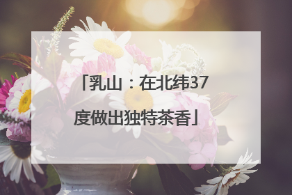 乳山：在北纬37度做出独特茶香
