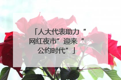 人大代表助力“网红夜市”迎来“公约时代”