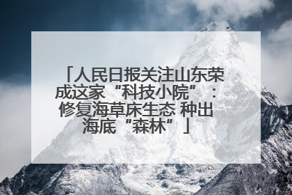 人民日报关注山东荣成这家“科技小院”：修复海草床生态 种出海底“森林”