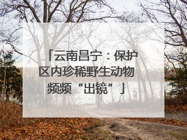 云南昌宁：保护区内珍稀野生动物频频“出镜”
