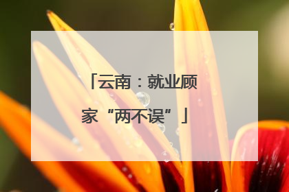 云南：就业顾家“两不误”