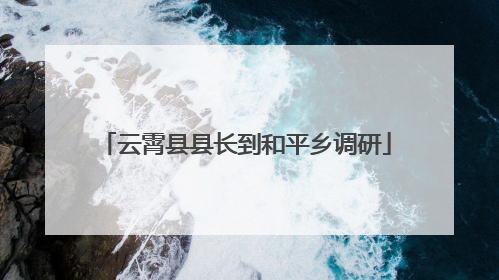 云霄县县长到和平乡调研