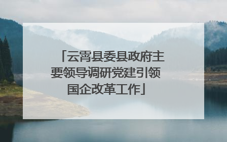 云霄县委县政府主要领导调研党建引领国企改革工作