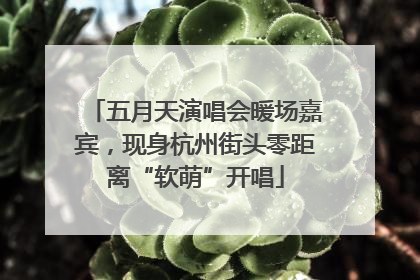 五月天演唱会暖场嘉宾，现身杭州街头零距离“软萌”开唱