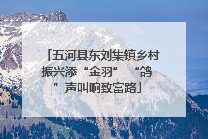 五河县东刘集镇乡村振兴添“金羽” “鸽”声叫响致富路