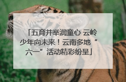 五育并举润童心 云岭少年向未来！云南多地“六一”活动精彩纷呈
