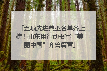 五项先进典型名单齐上榜！山东用行动书写“美丽中国”齐鲁篇章