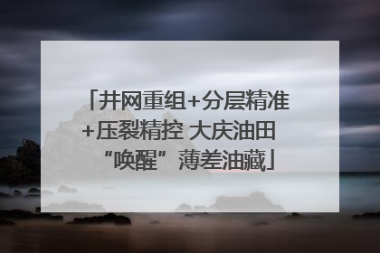 井网重组+分层精准+压裂精控 大庆油田“唤醒”薄差油藏