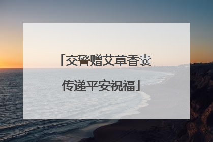 交警赠艾草香囊 传递平安祝福
