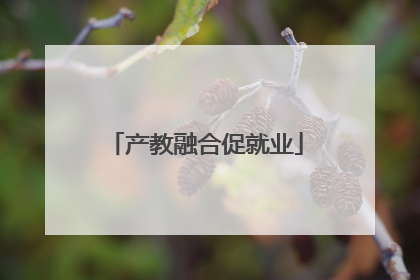 产教融合促就业